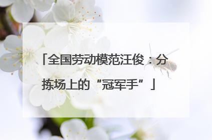 全国劳动模范汪俊：分拣场上的“冠军手”